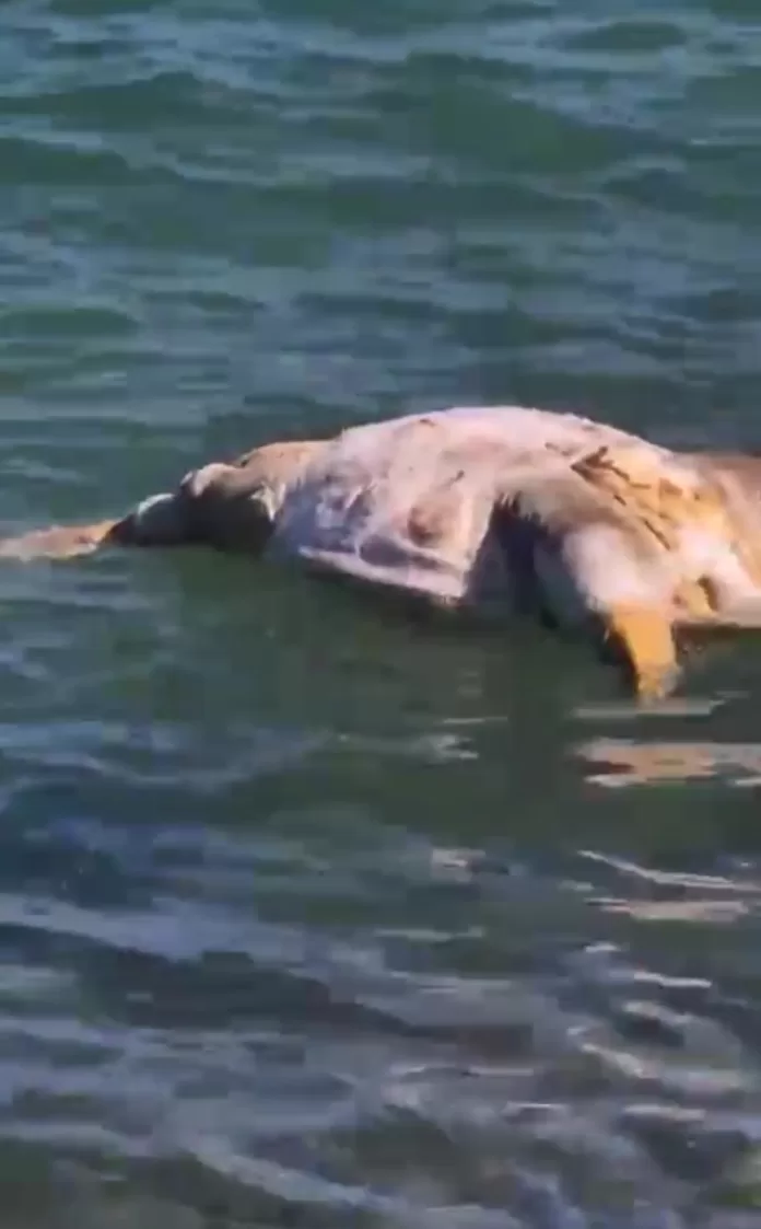 screenshot 20251224 125616