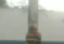 Homem suspeito de estupro é encontrado amarrado a poste no Jardim Peró, em Cabo Frio screenshot 3