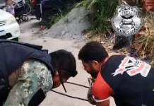 Jiboia é resgatada em residência no bairro Jacaré, em Cabo Frio screenshot 33