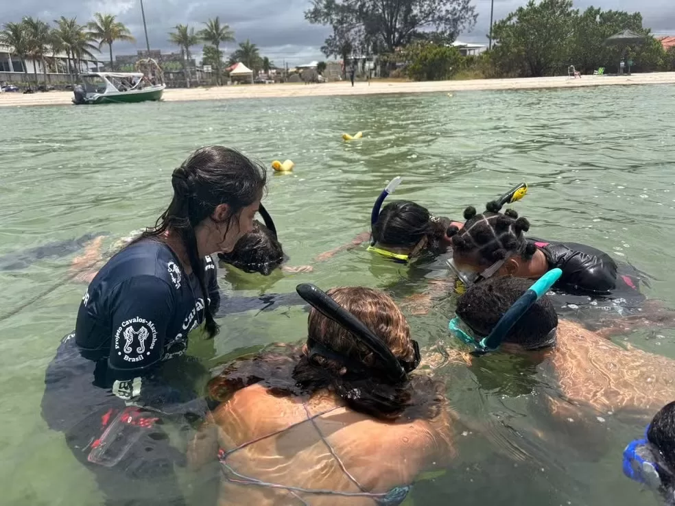 whatsapp image 2025 12 01 at 13.42.30