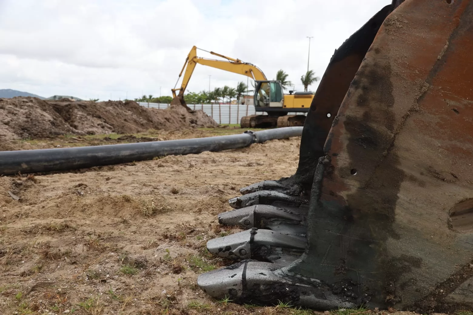 whatsapp image 2025 12 05 at 17.01.27