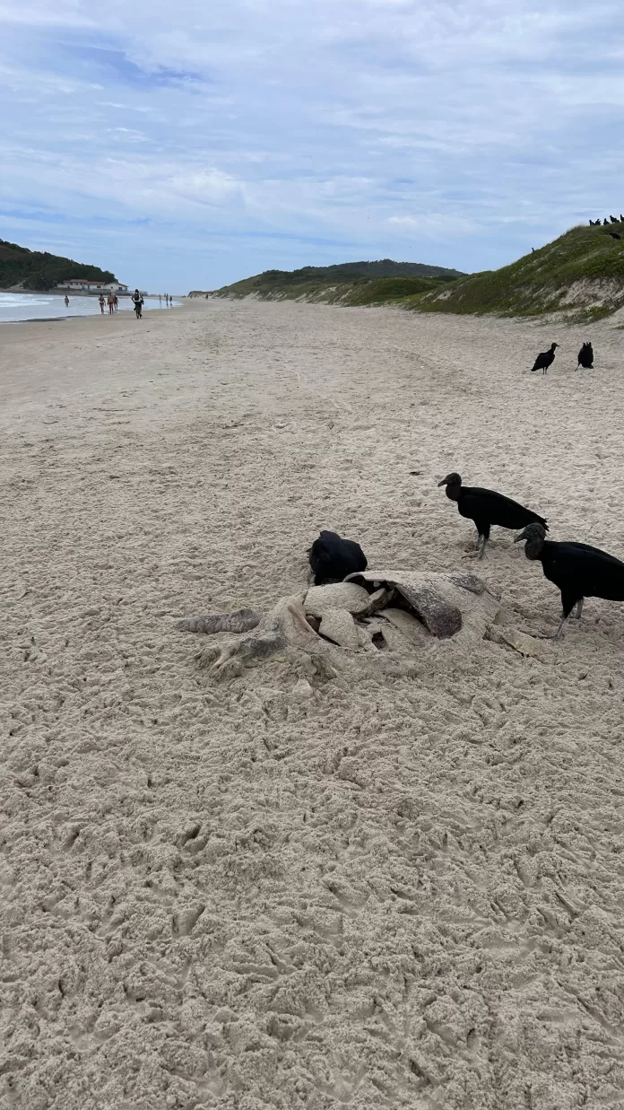 whatsapp image 2025 12 09 at 11.27.18