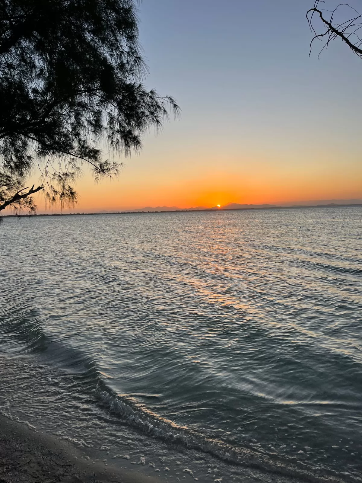 whatsapp image 2025 12 11 at 12.48.02