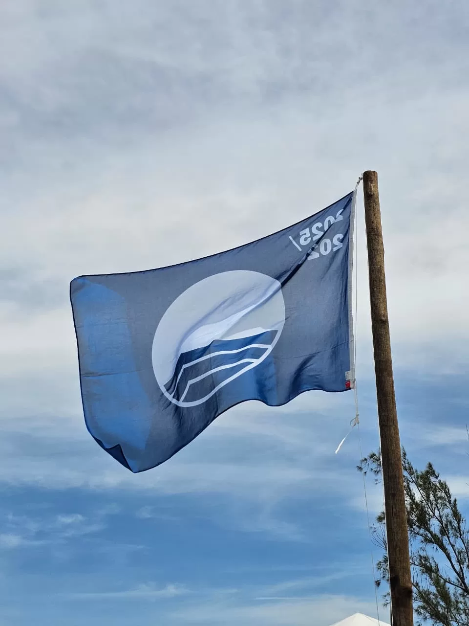 whatsapp image 2025 12 12 at 14.59.01 (3)