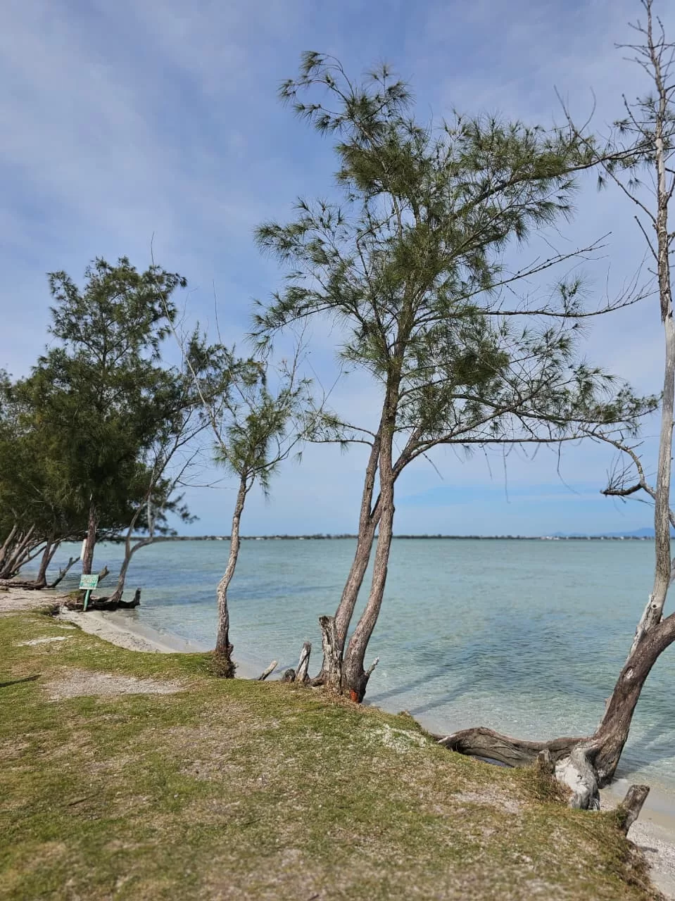 whatsapp image 2025 12 12 at 14.59.04