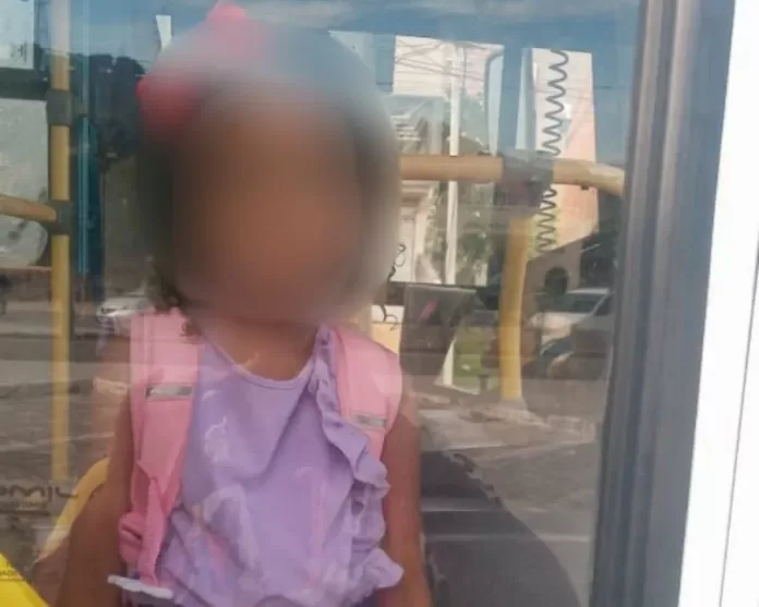 whatsapp image 2025 12 15 at 09.49.39s