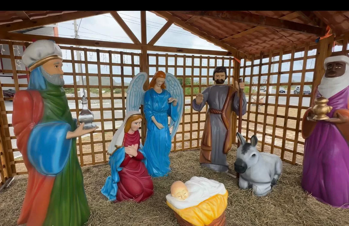 whatsapp image 2025 12 17 at 17.01.27