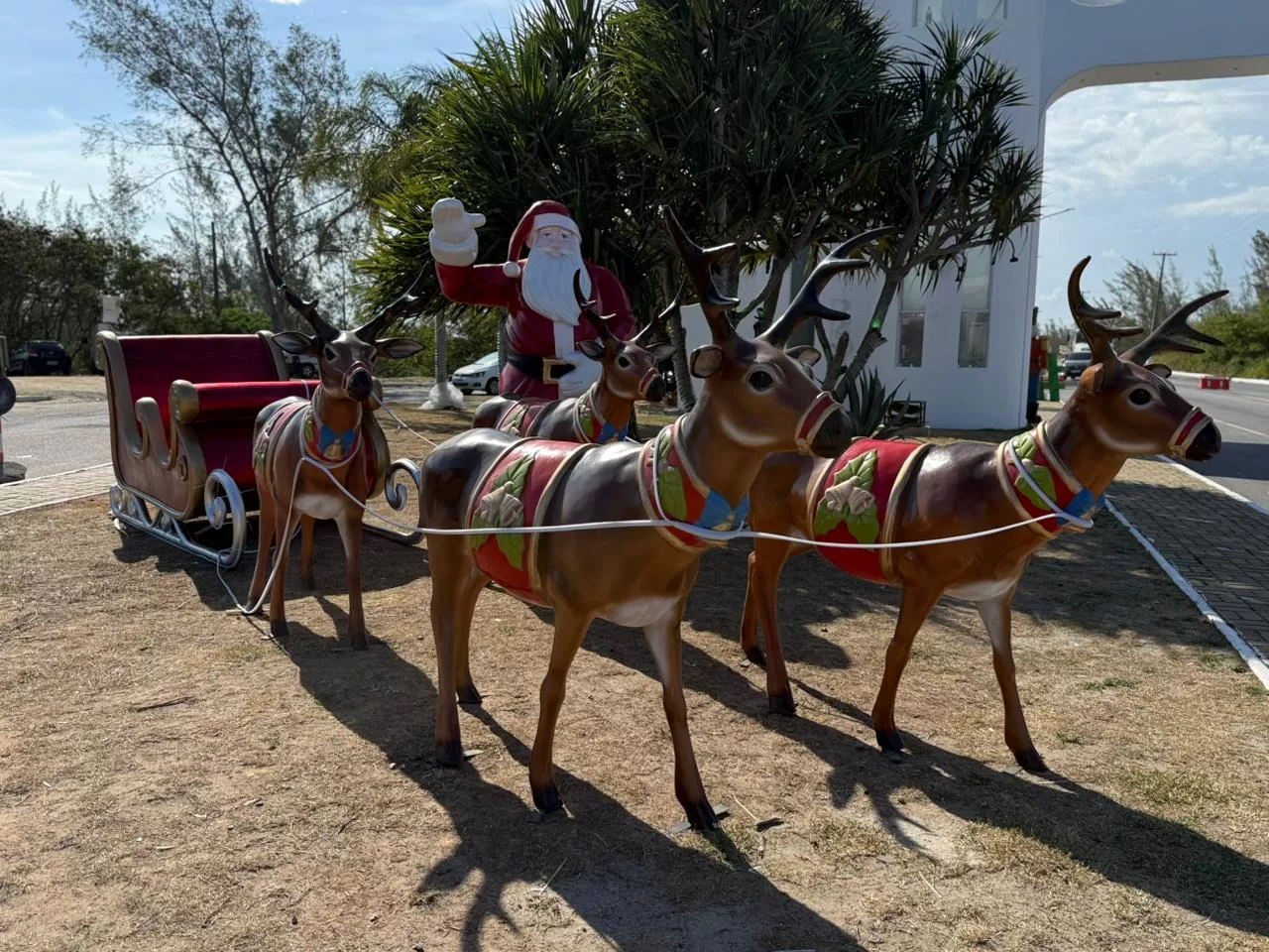 whatsapp image 2025 12 17 at 17.01.29