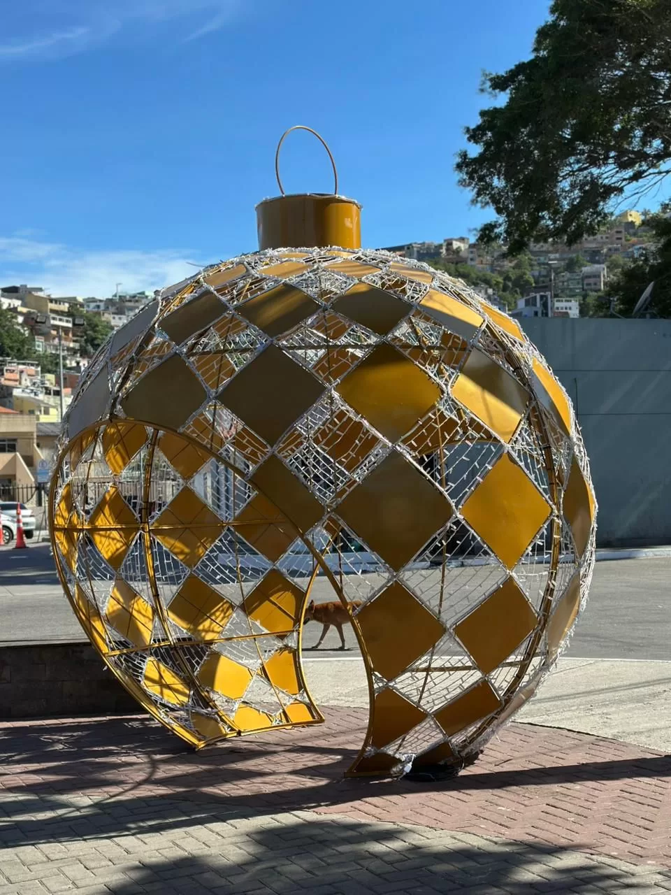 whatsapp image 2025 12 17 at 17.01.34