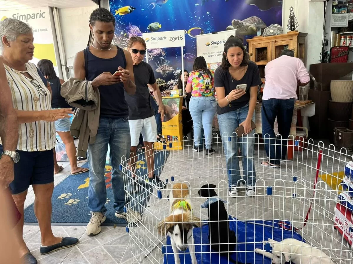 whatsapp image 2025 12 18 at 09.24.46