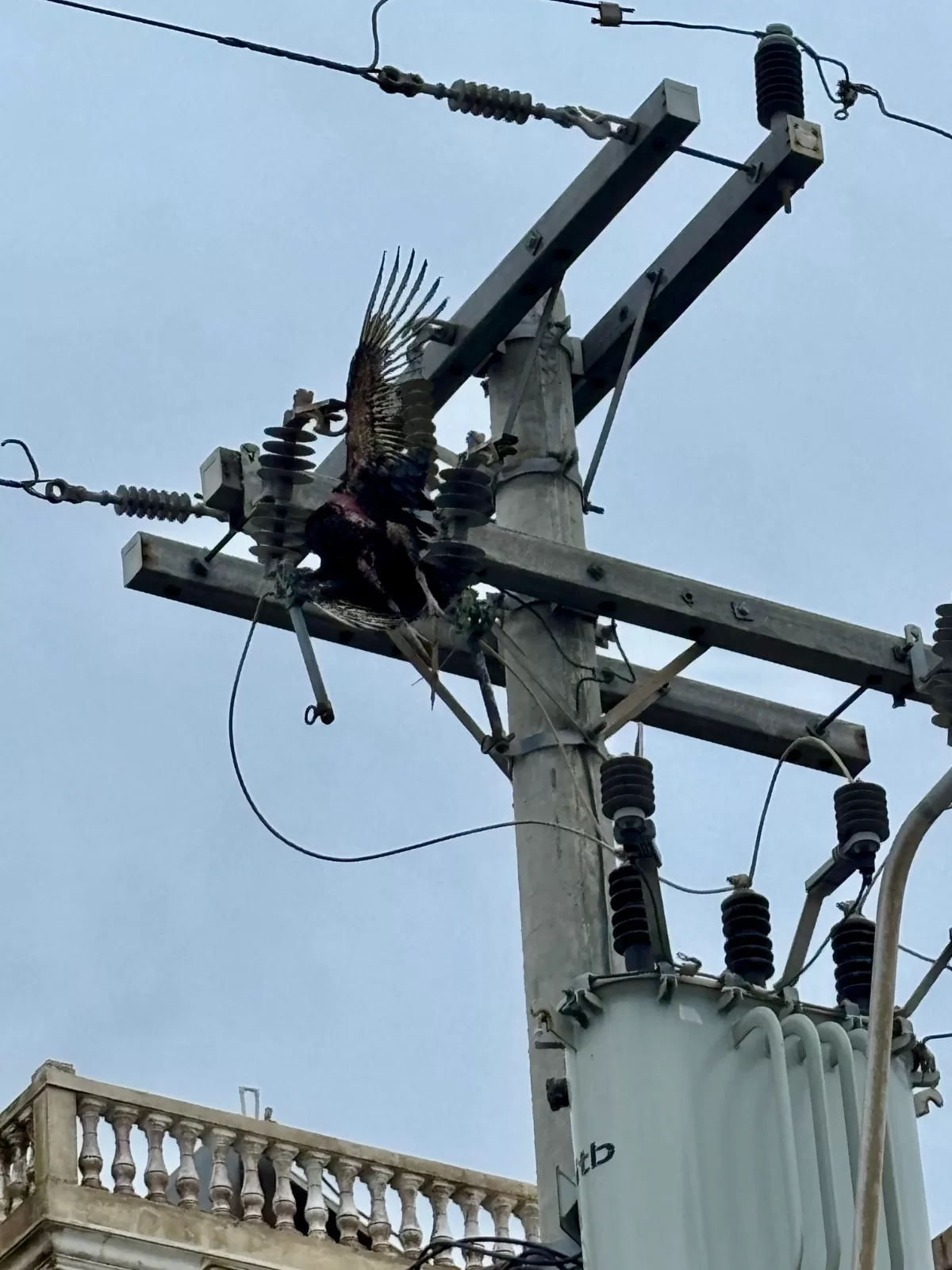 whatsapp image 2025 12 19 at 13.16.11