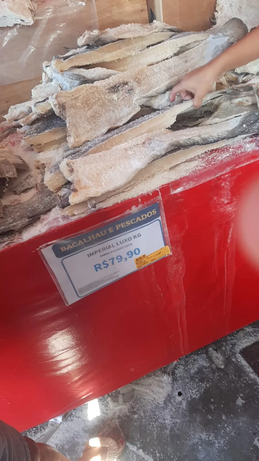 whatsapp image 2025 12 23 at 16.23.17