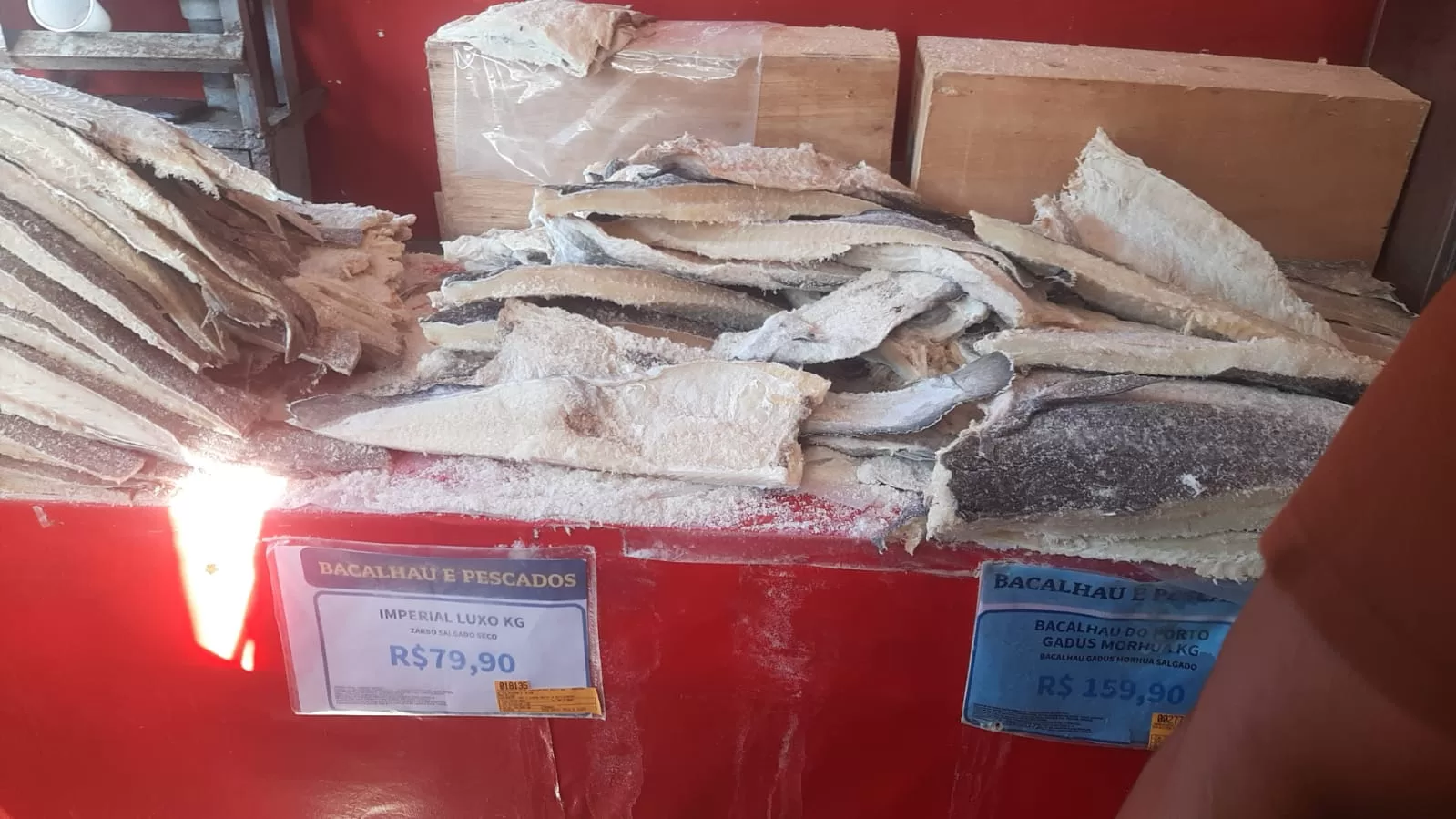 whatsapp image 2025 12 23 at 16.23.18