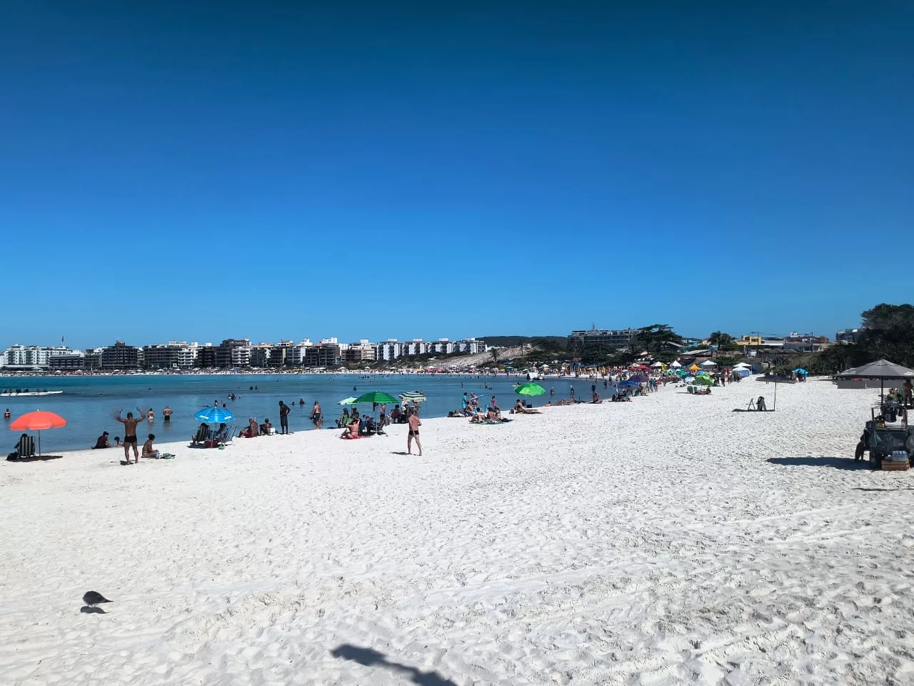 whatsapp image 2025 12 26 at 09.03.30 (2)