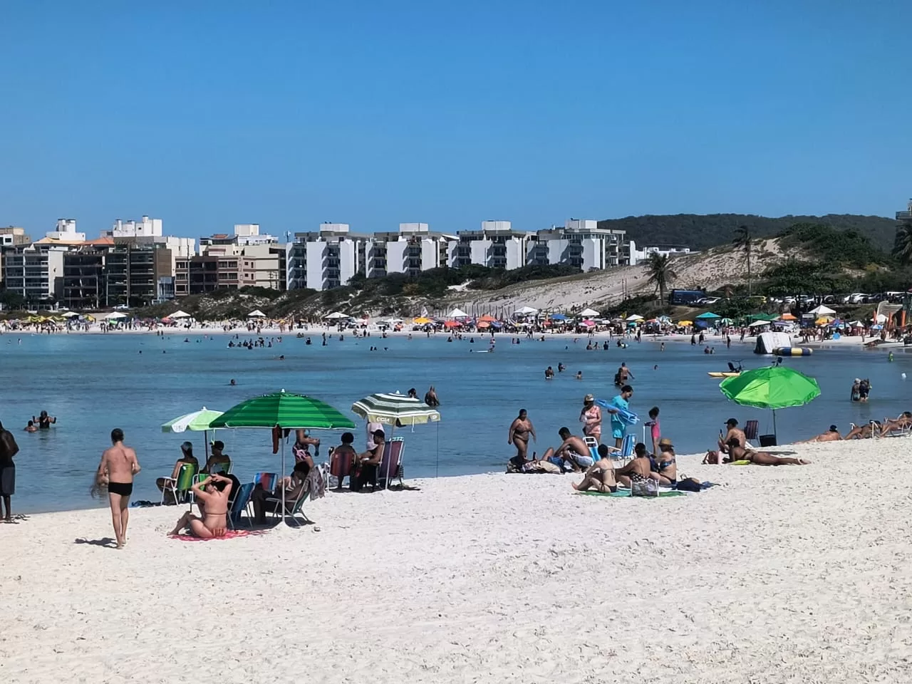 whatsapp image 2025 12 26 at 09.03.31