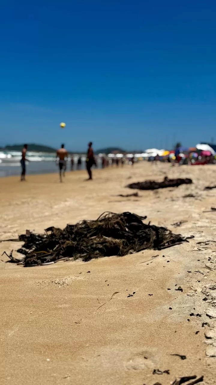 whatsapp image 2025 12 26 at 12.10.22