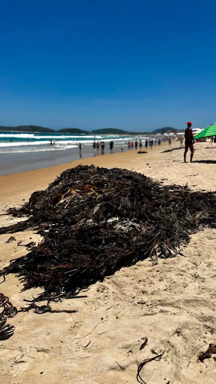 whatsapp image 2025 12 26 at 12.10.47