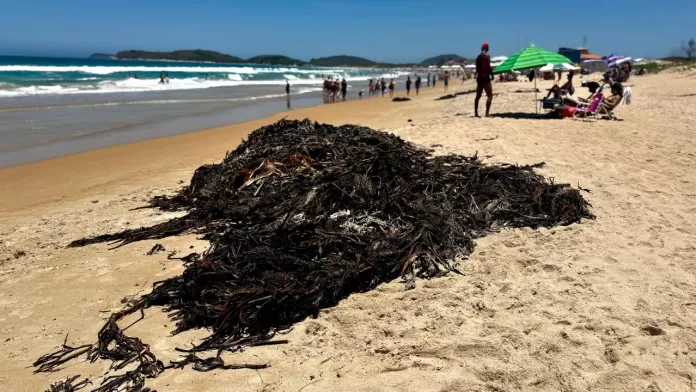 whatsapp image 2025 12 26 at 12.11.04