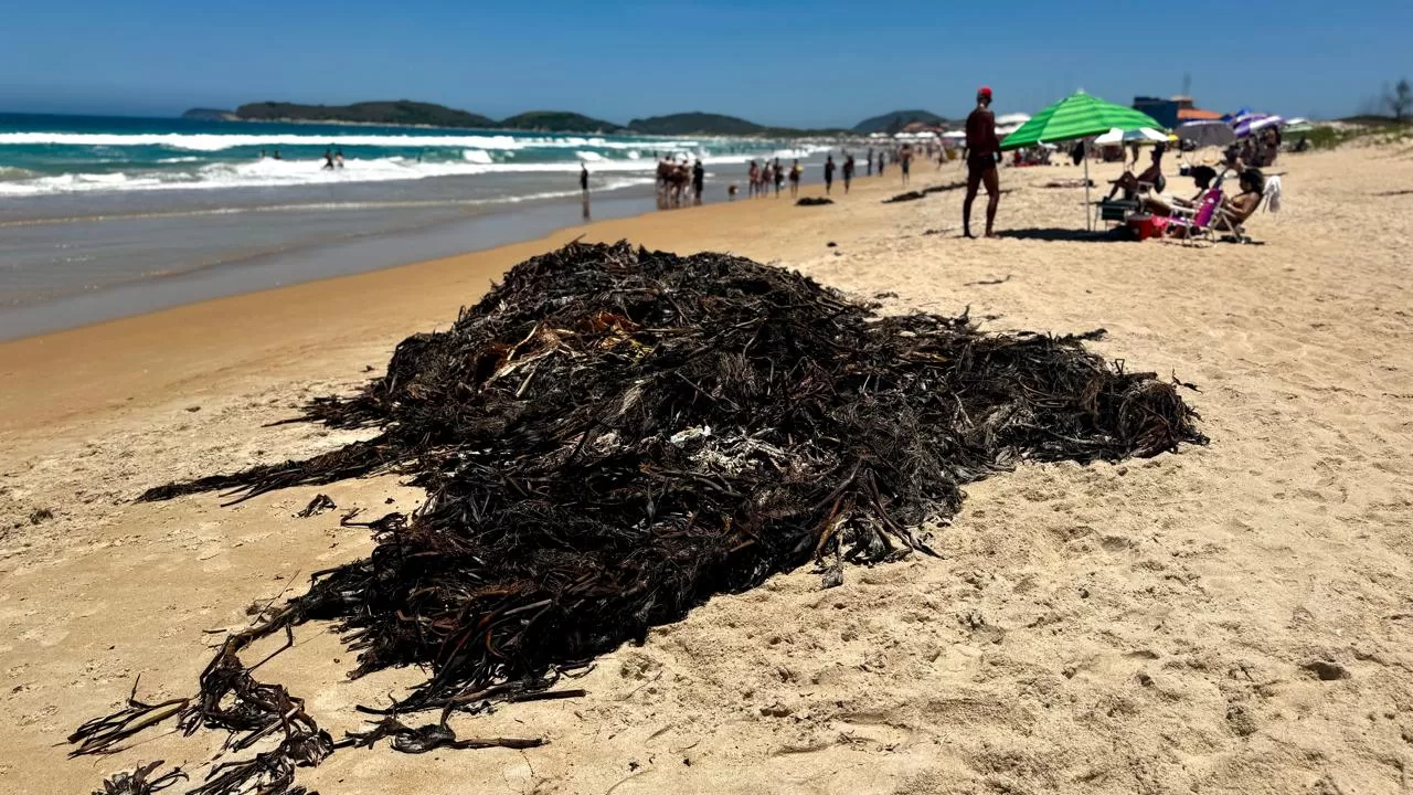 whatsapp image 2025 12 26 at 12.11.04