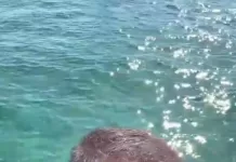 whatsapp image 2025 12 26 at 15.21.23