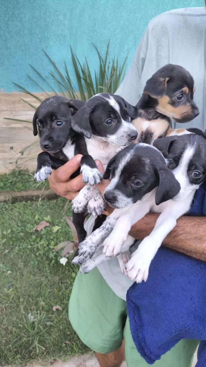 whatsapp image 2025 12 27 at 15.02.07