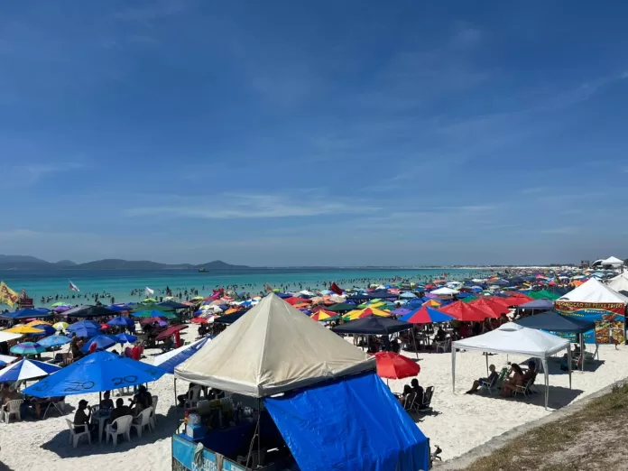 whatsapp image 2025 12 29 at 11.08.43