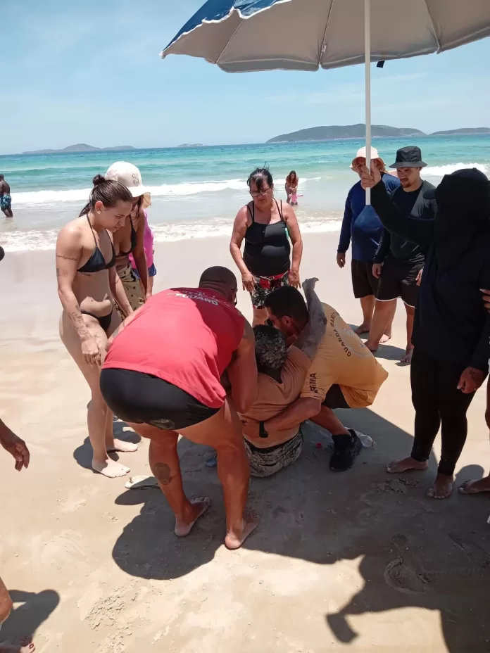 whatsapp image 2025 12 30 at 11.51.07