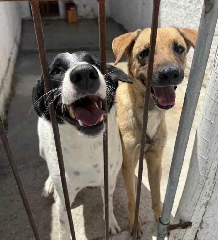 6979181cd782ccxtvy larg