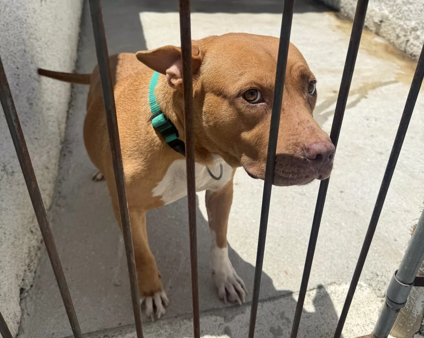 6979183b842e7xcnvy larg