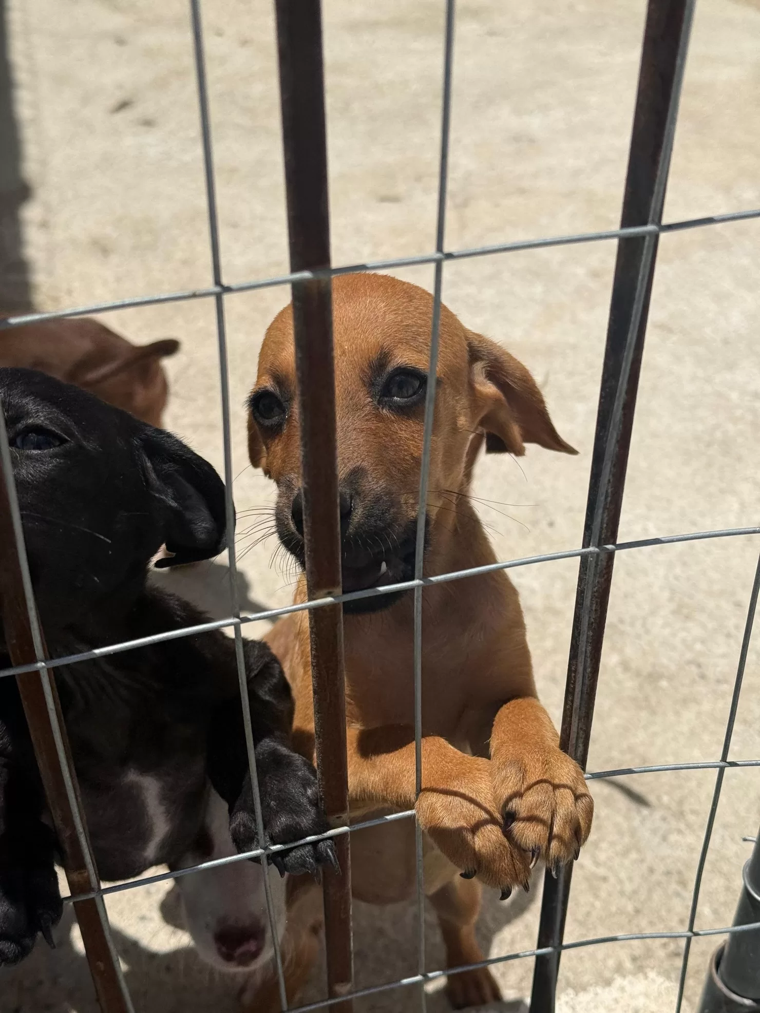 6979183bf3c8duixg0 larg