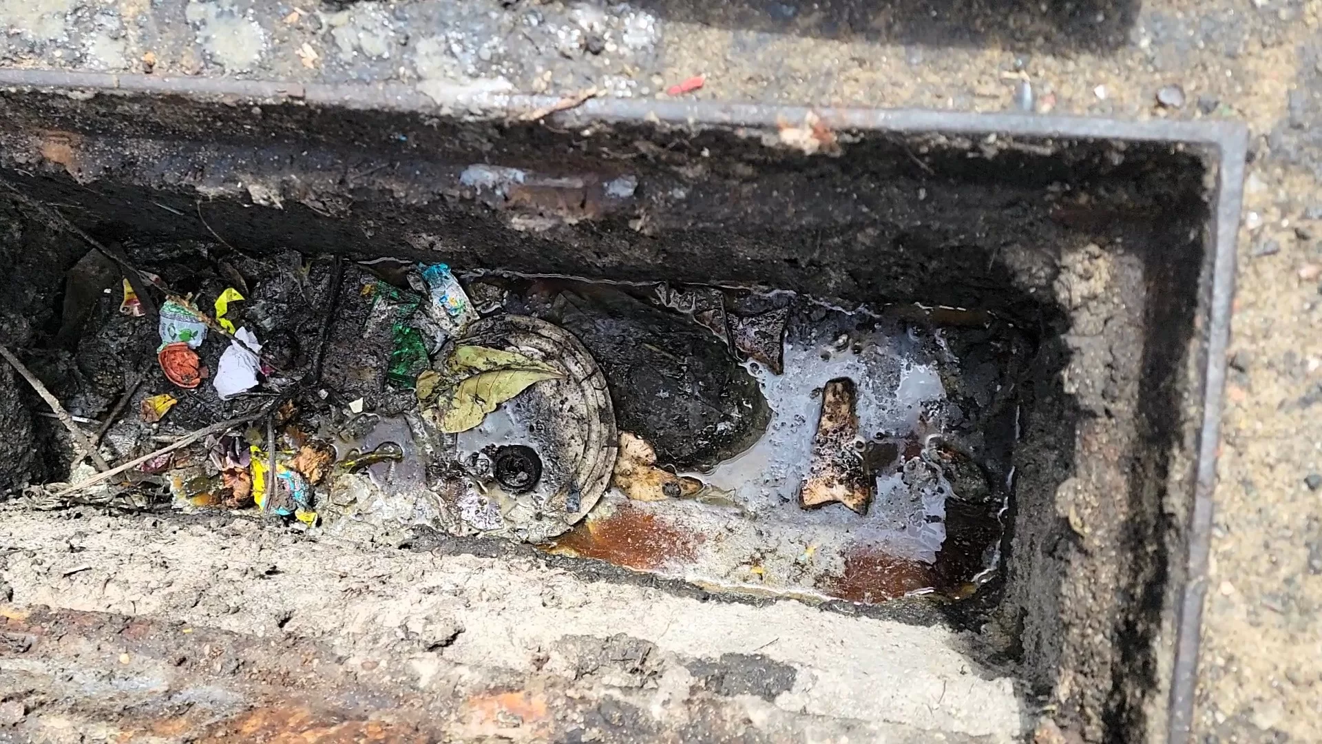 búzios ação conjunta entre prolagos e prefeituras flagra descarte irregular de gordura e lixo (6)