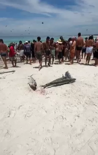 captura de tela 2026 01 02 154039