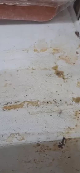 captura de tela 2026 01 24 152838