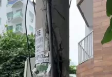 img 20260123 wa0201(1)