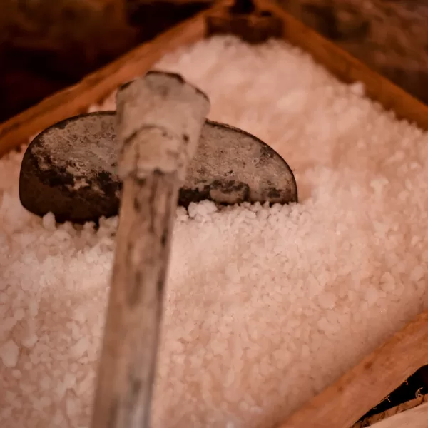 templates mart 2023 (7)