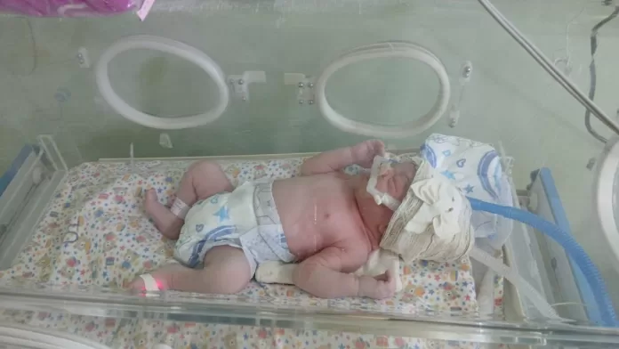 whatsapp image 2026 01 01 at 13.25.09