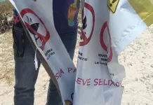 whatsapp image 2026 01 02 at 13.32.07 rh2n0qudrzowl3cmtgo88kx6oi6ntb94zn0hyby6cg