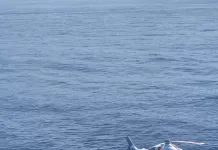 whatsapp image 2026 01 02 at 16.51.26 (3)