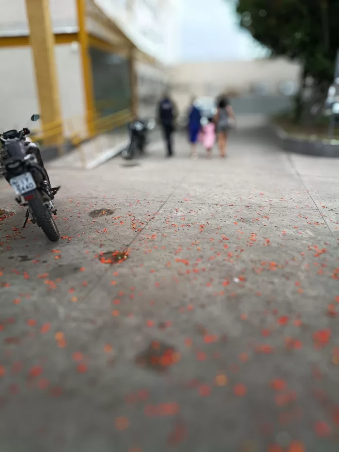 whatsapp image 2026 01 07 at 07.21.43