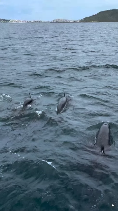 whatsapp image 2026 01 08 at 10.06.32