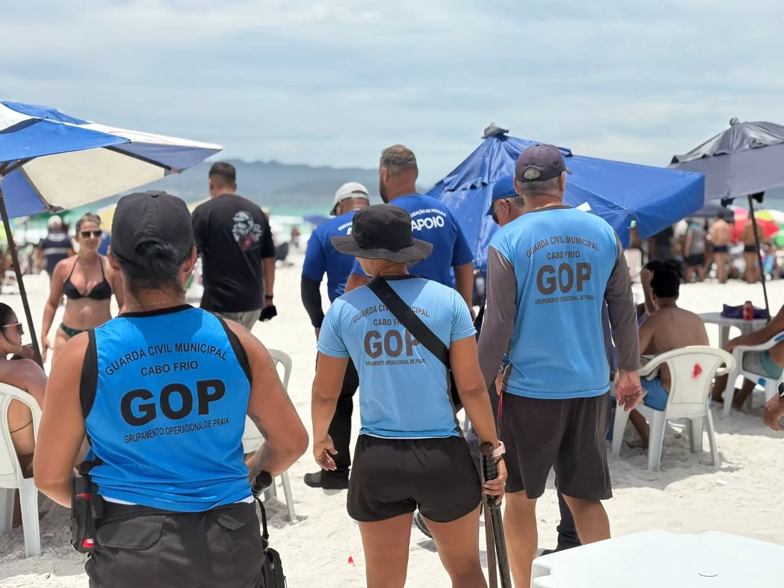 whatsapp image 2026 01 08 at 15.13.15