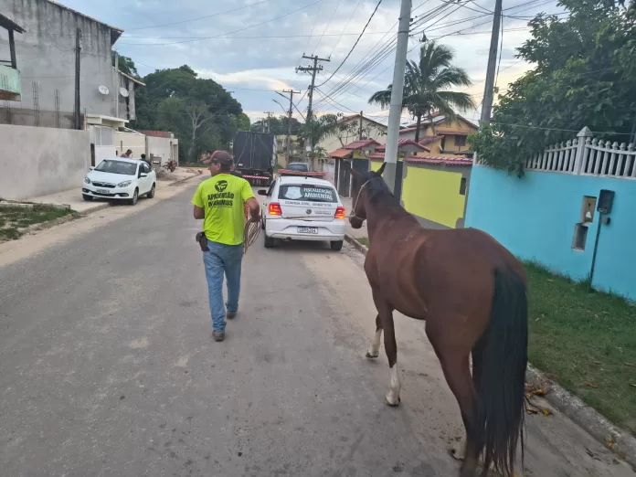 whatsapp image 2026 01 09 at 07.50.18 (1)