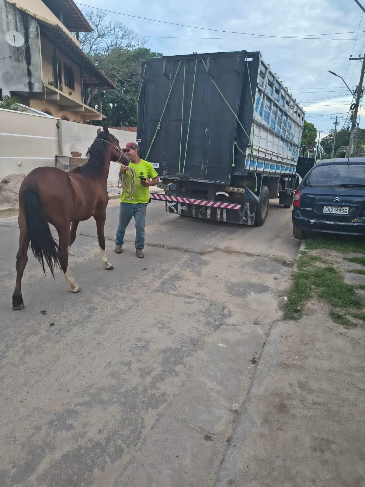 whatsapp image 2026 01 09 at 07.50.18