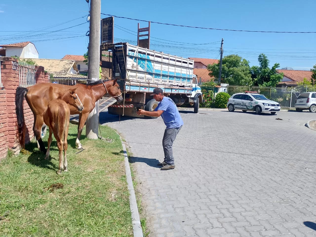 whatsapp image 2026 01 09 at 07.50.19