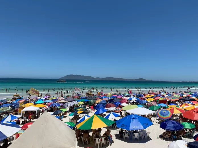 whatsapp image 2026 01 09 at 12.17.43