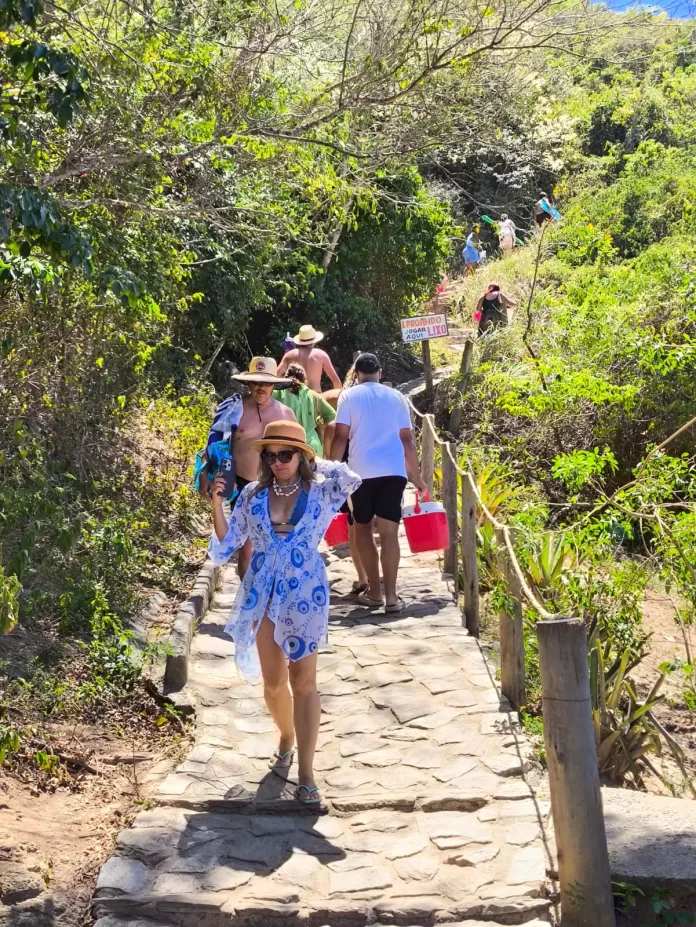 whatsapp image 2026 01 10 at 12.31.00