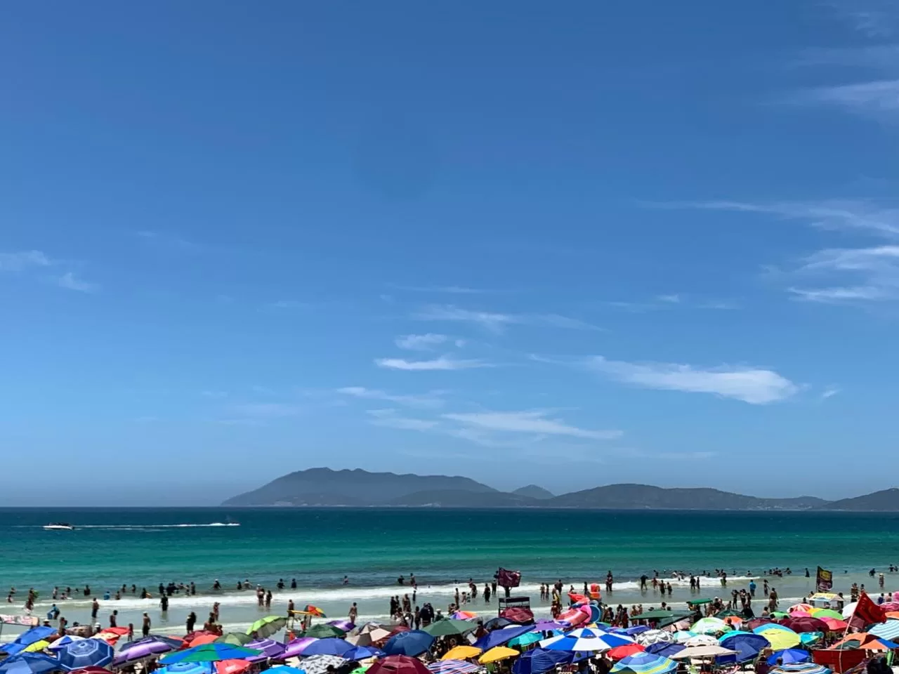 whatsapp image 2026 01 13 at 11.22.52