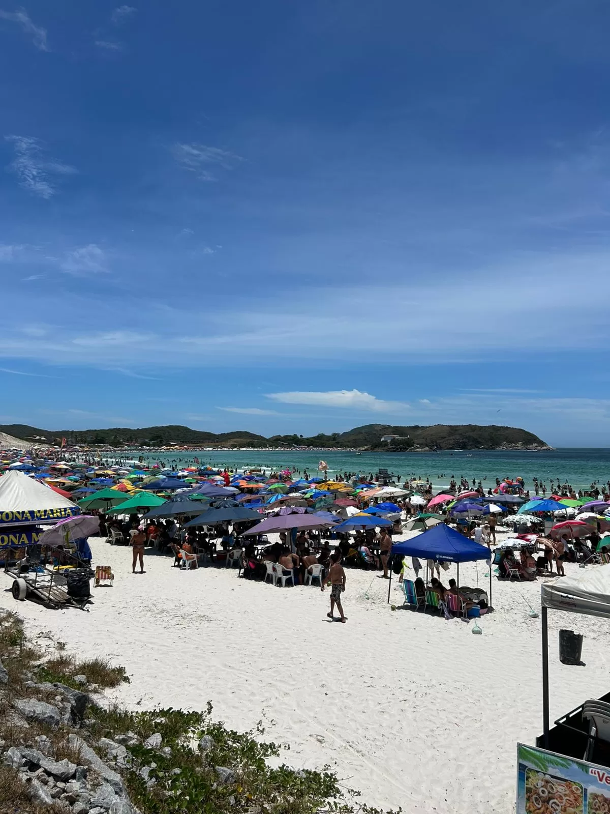 whatsapp image 2026 01 16 at 11.47.22