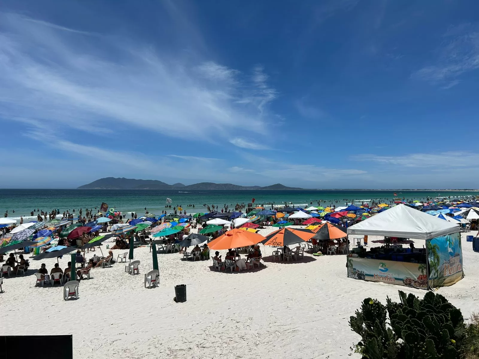 whatsapp image 2026 01 16 at 11.47.23 (1)