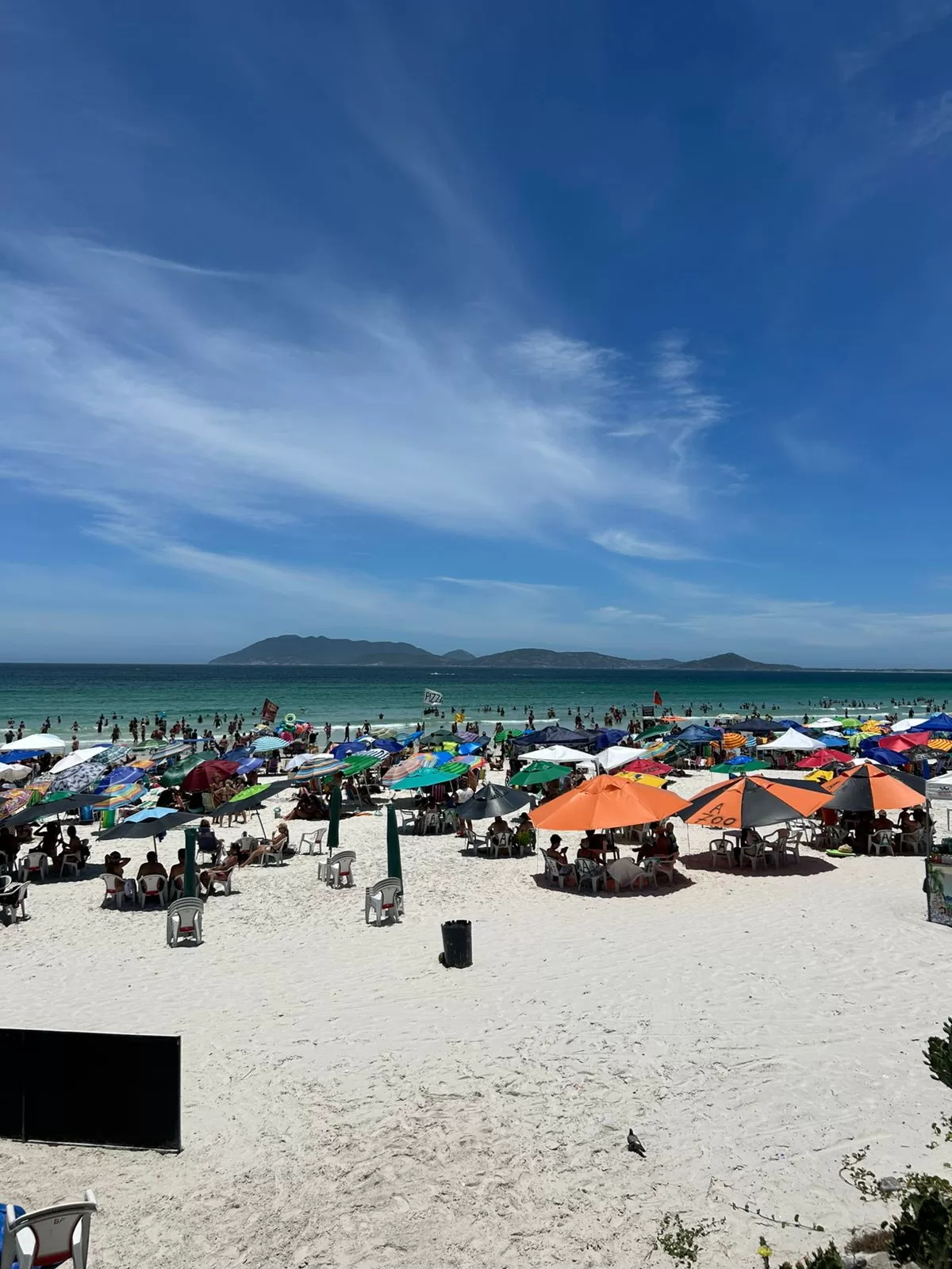 whatsapp image 2026 01 16 at 11.47.23